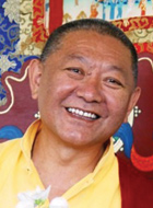 Ringu-Tulku-Rinpoche