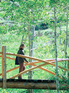 Bridge_Green