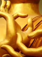 Buddha hands