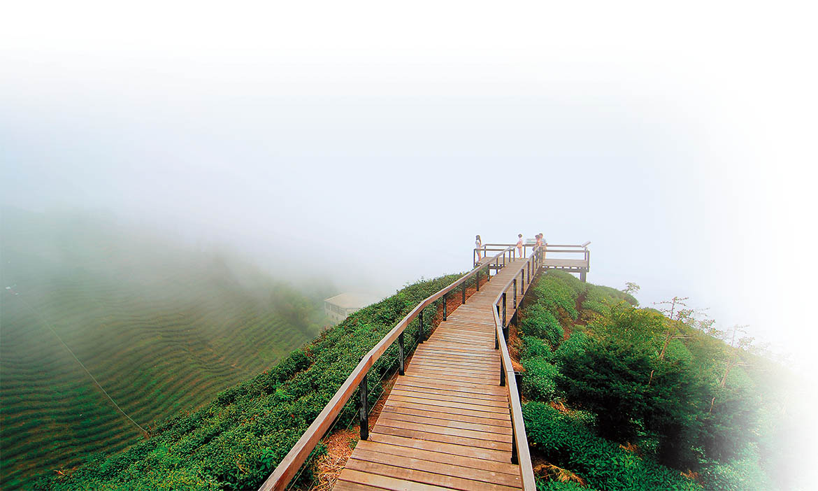 竹山榮恩茶業，追求潛沉冬韻