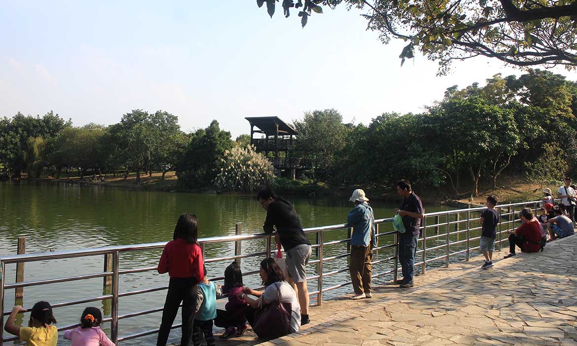 在八德埤塘生態公園，感受初冬陽光的溫度