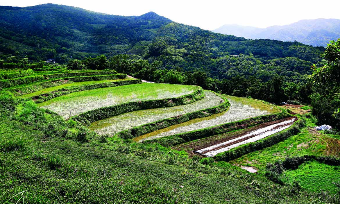 世界農業遺產將美好風景永續 台灣怎麼做 活動大聲公 微笑台灣 用深度旅遊體驗鄉鎮魅力