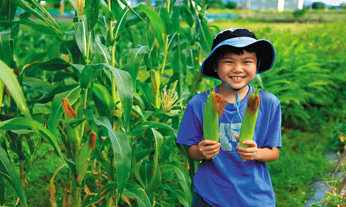 「健草農園」自然栽培無毒蔬菜，分享幸福的原味