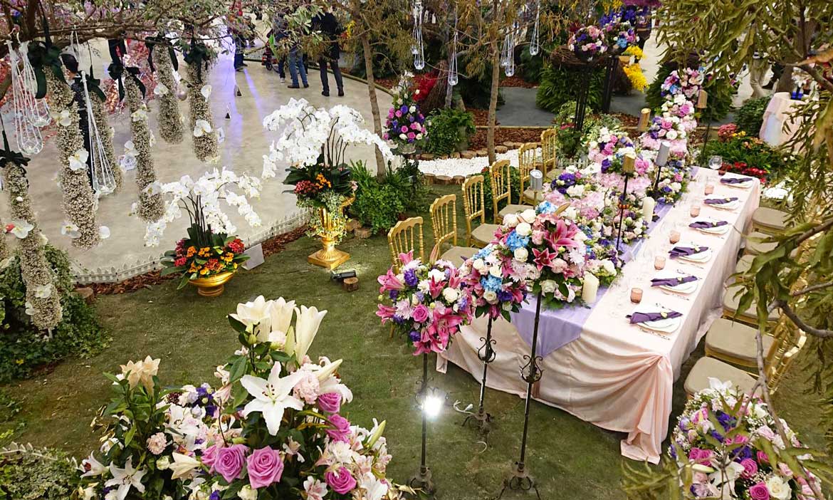 到台中花博花舞館看花，這次是「媽媽帶我去旅行」