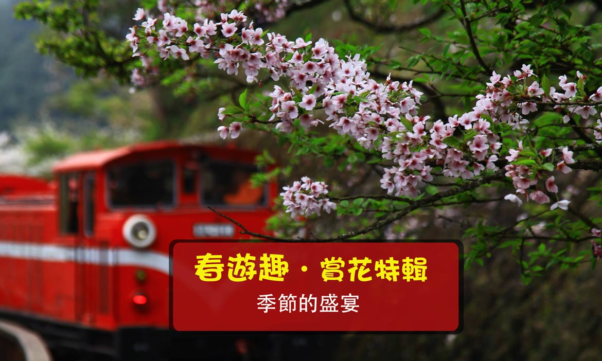 旅人專欄-你好臺灣