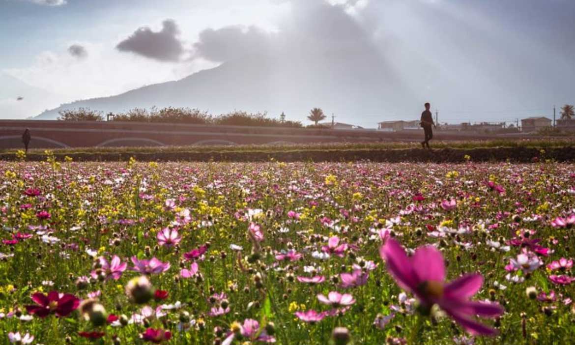 縱谷走春小旅行 一路從池上 關山 鹿野玩到台東市 活動大聲公 微笑台灣 用深度旅遊體驗鄉鎮魅力 縱谷走春小旅行 一路從池上 關山 鹿野玩到台東市 活動大聲公 微笑台灣 用深度旅遊體驗鄉鎮魅力