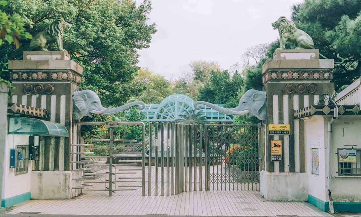 台灣最老的動物園 重生後的新竹動物園，把籠子留給人類