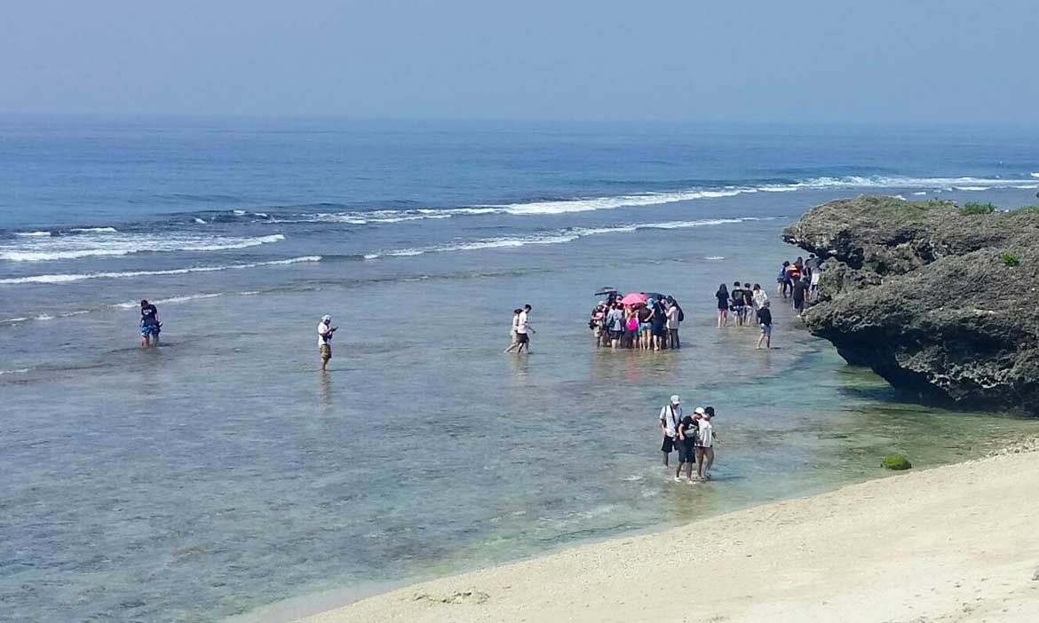 海龜像個大明星 潮間帶絕無冷場，小琉球的海讓人留戀