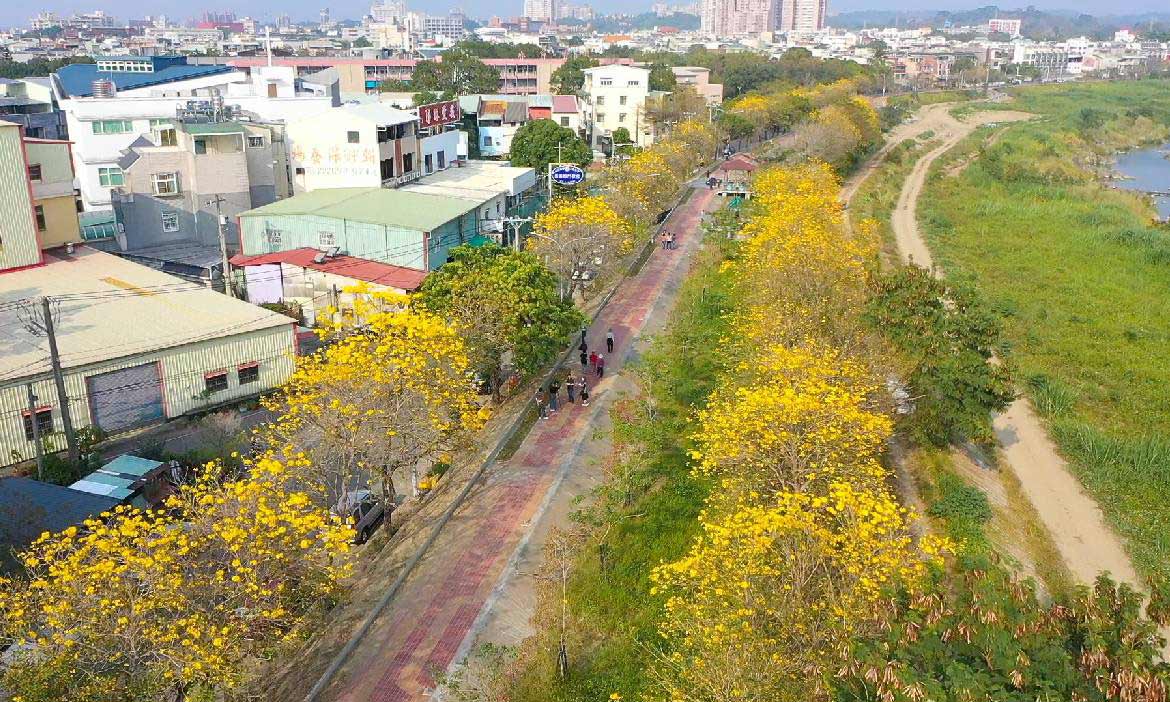 春天就是要賞花！追尋粉、黃、紫旋風，順遊嘉義來場小旅行