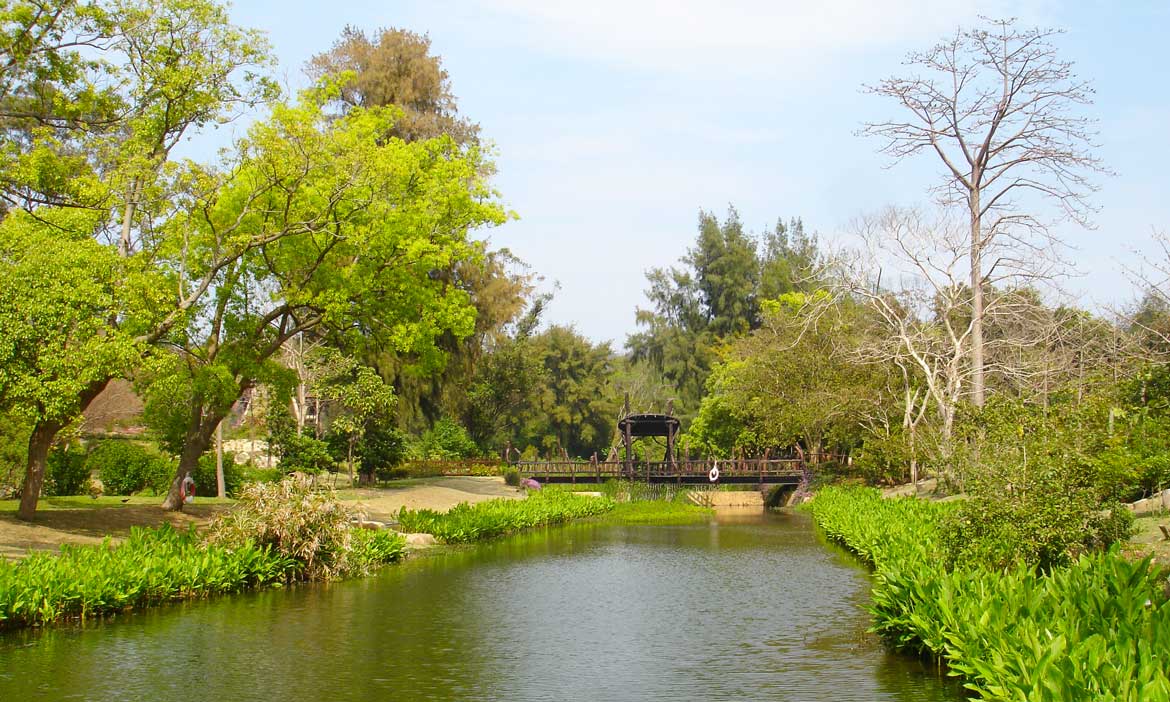 螢光、百合、戰地植物園 你所不知的浯島風景，全台唯一離島植物園