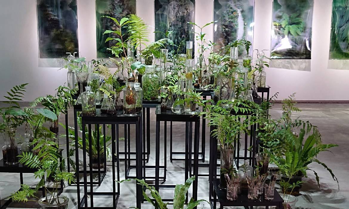 近觀台灣山林之美 將原生種植物帶進南投毓繡美術館，人與生態的共存對話