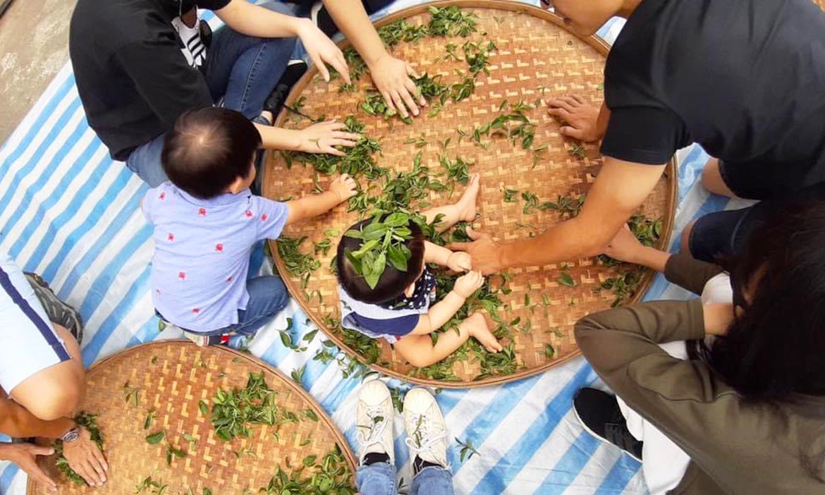 熱氣球之外的台東 卑南藥草植物園與食療火鍋、鹿野紅烏龍與小農市集