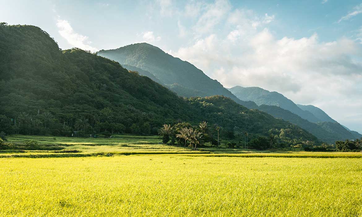 浪漫客庄800元旅遊券，最完整懶人包整理！中獎不知道要去哪花？花蓮、台東私房推薦
