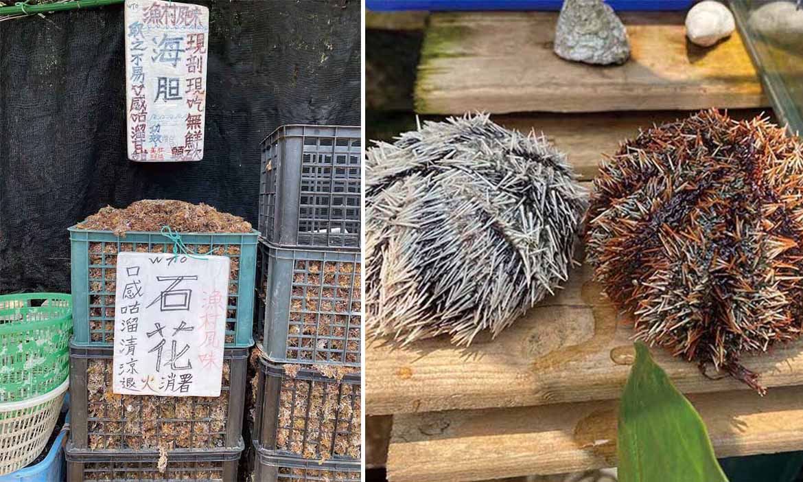 新北筍王與貢寮海民的日常餐桌 到書本以外的田野走踏，把海的味道帶回家