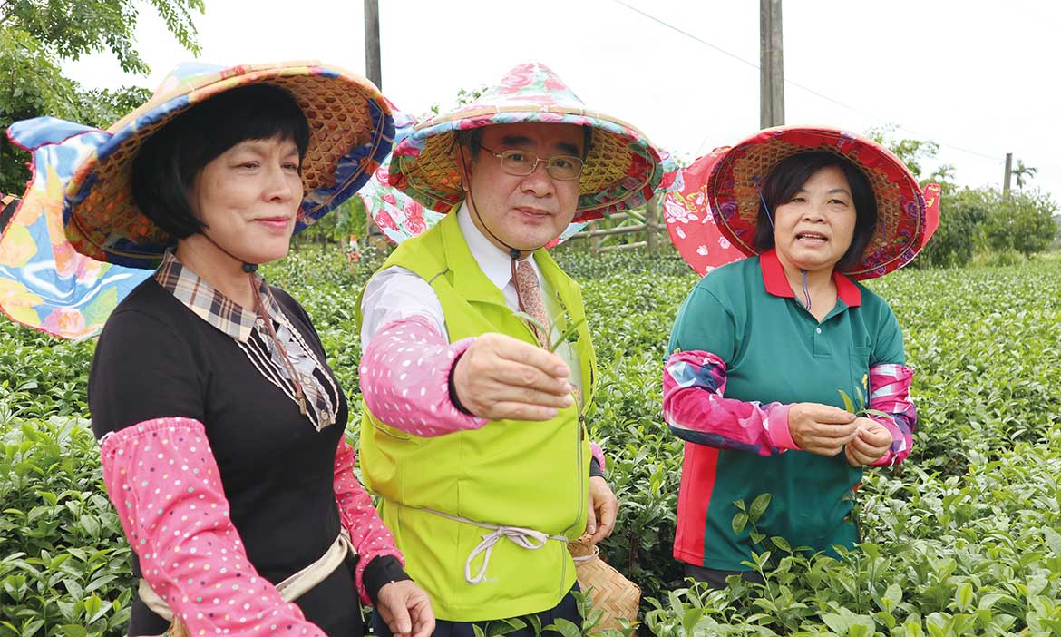走訪東部茶鄉，一探臺灣風土之美