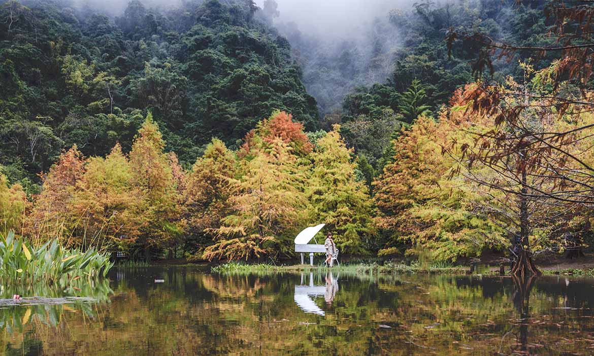 森林中的北國風景到苗栗南庄雲水溫泉度假村 漫遊湖畔落羽松秘境 我的旅圖中 微笑台灣 用深度旅遊體驗鄉鎮魅力
