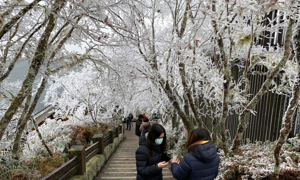 太平山國家森林遊樂區21年第二波冬季雪期 公布預警性機動管制措施 活動大聲公 微笑台灣 用深度旅遊體驗鄉鎮魅力