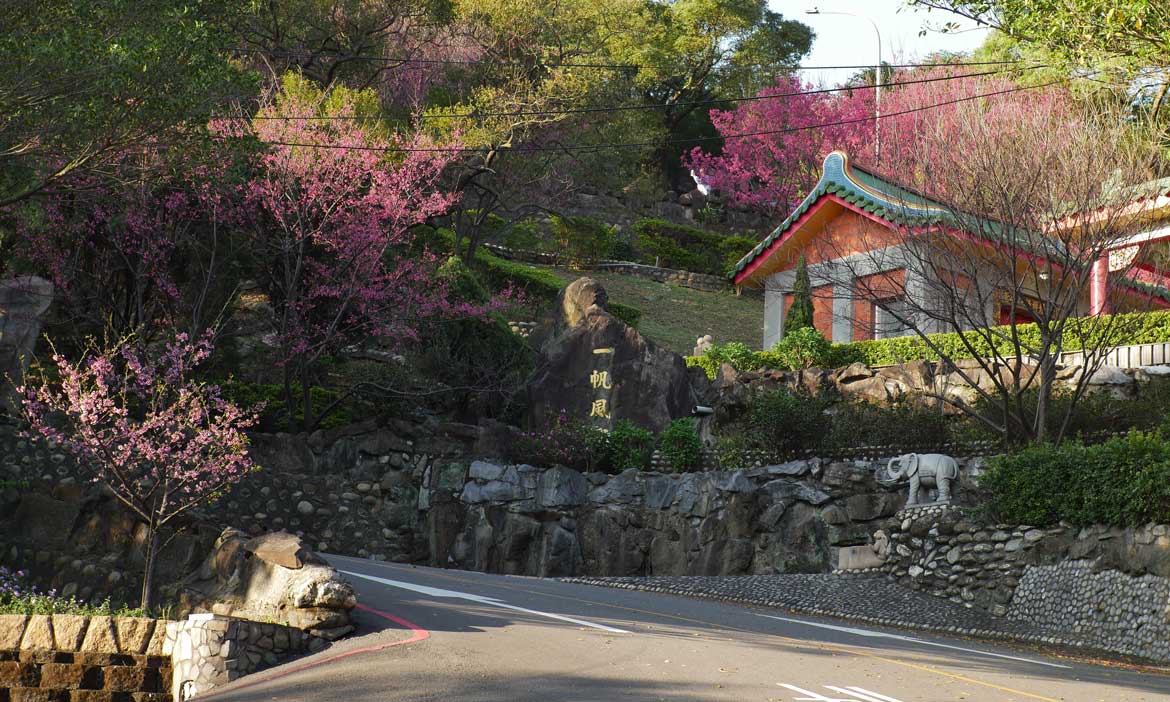 桃園壽山巖觀音寺賞櫻，順遊新埔宗祠家廟的建築之美，即使路過也是一種旅行