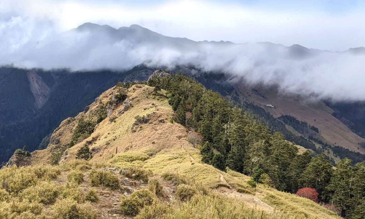 來趟深秋小旅行，感受武陵農場的生意盎然，走進雪山東峰的最美風光