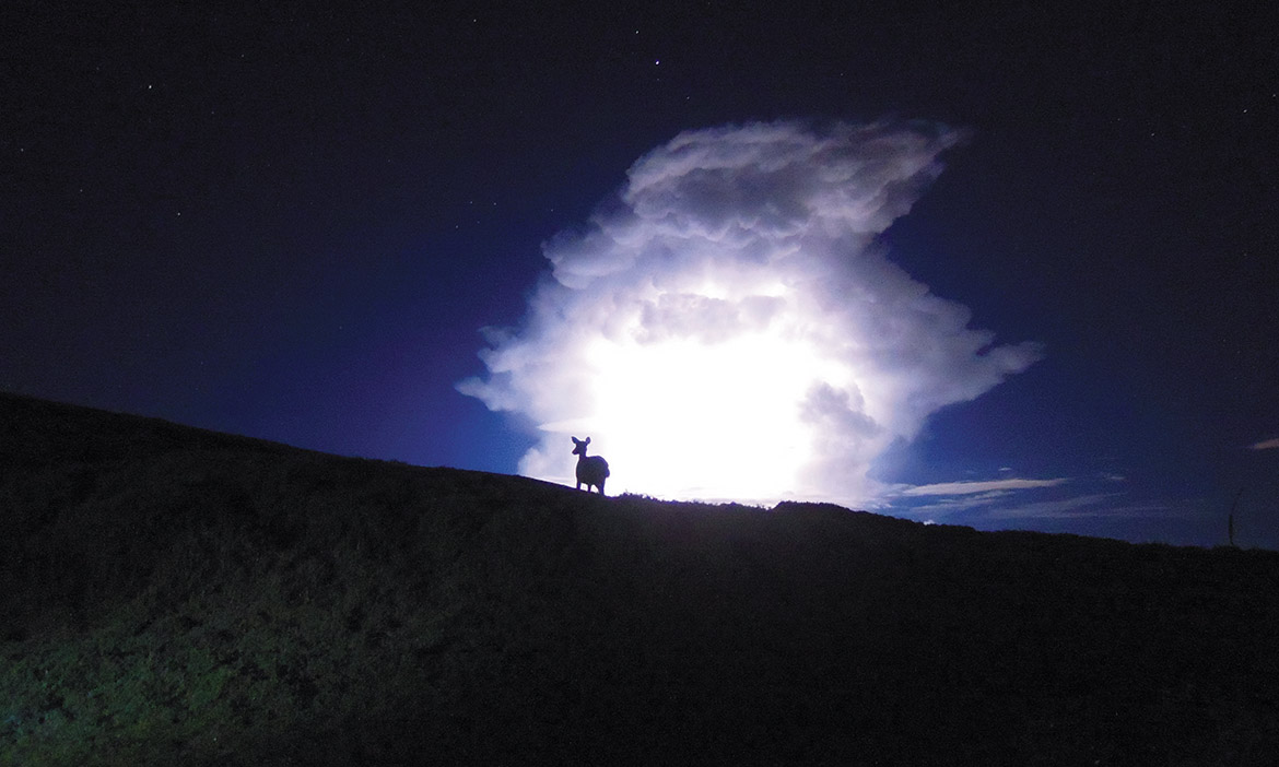 海拔三千公尺高山的追鹿人，顏士清的生態壯遊奇幻旅程