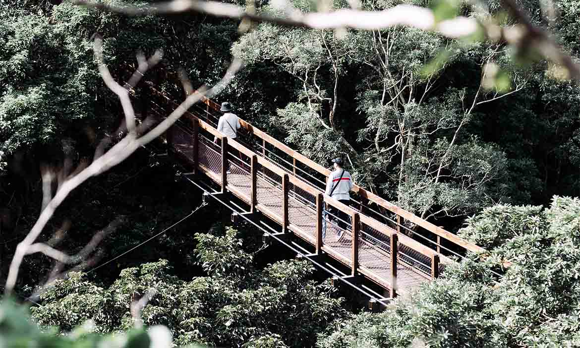 走入山徑窺看恆春半島山林面貌 從輕鬆出遊到登山縱走 探索群山魅力美景 微笑精選好文 微笑台灣 用深度旅遊體驗鄉鎮魅力