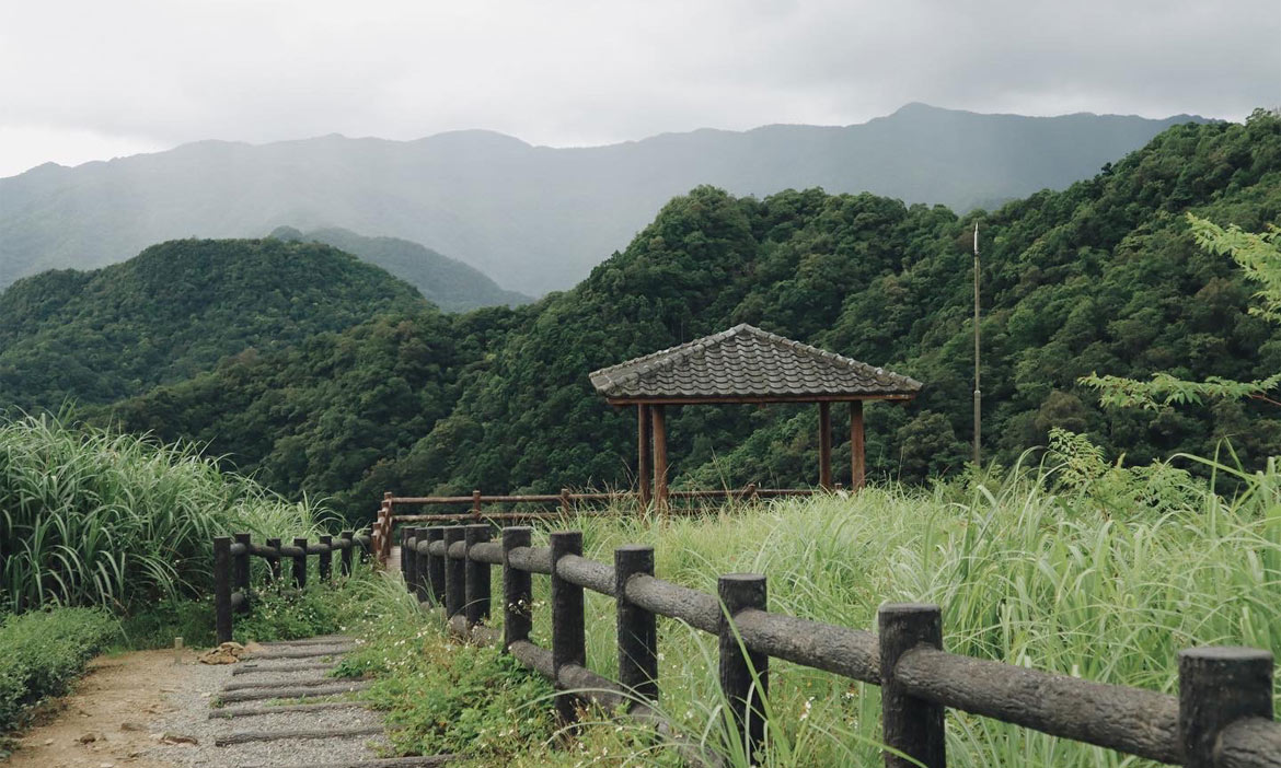 夏日茶鄉半日遊 新北坪林雲海茶園秘境 在群山環繞中感受遺世小店的慵懶療癒 投稿 微笑台灣 用深度旅遊體驗鄉鎮魅力