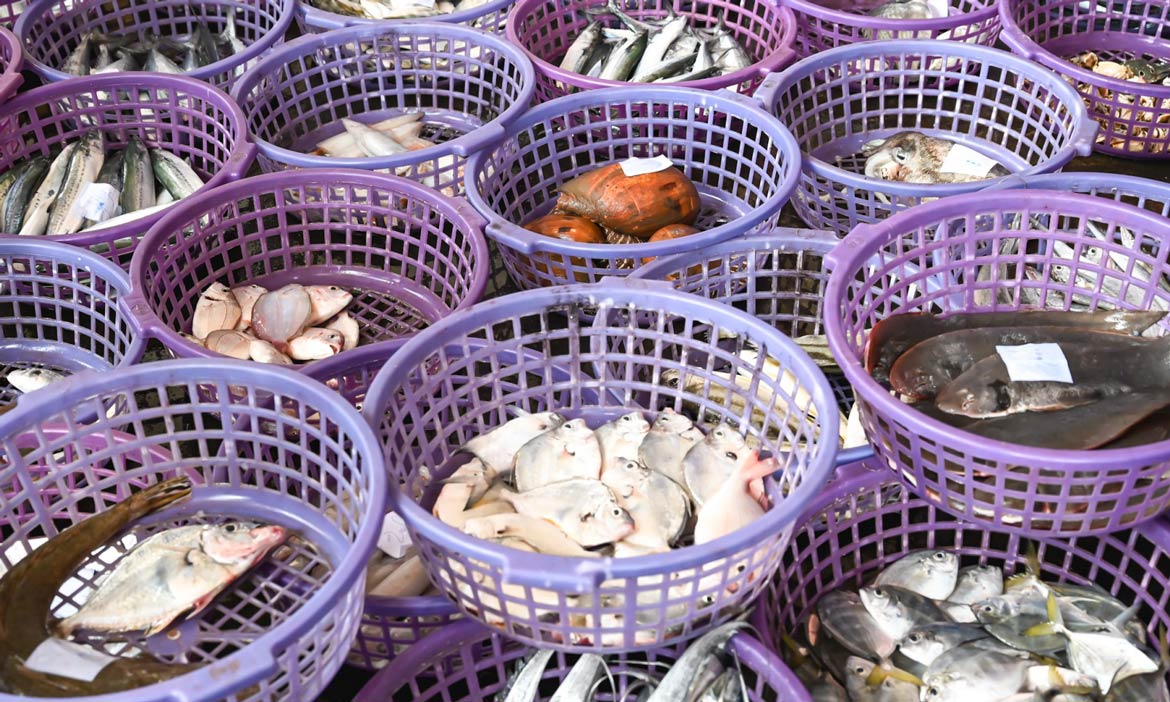 苗栗後龍竹南一日遊｜慢魚海岸玩沙追浪、漁港美食、自行車道，五感體驗一次滿足