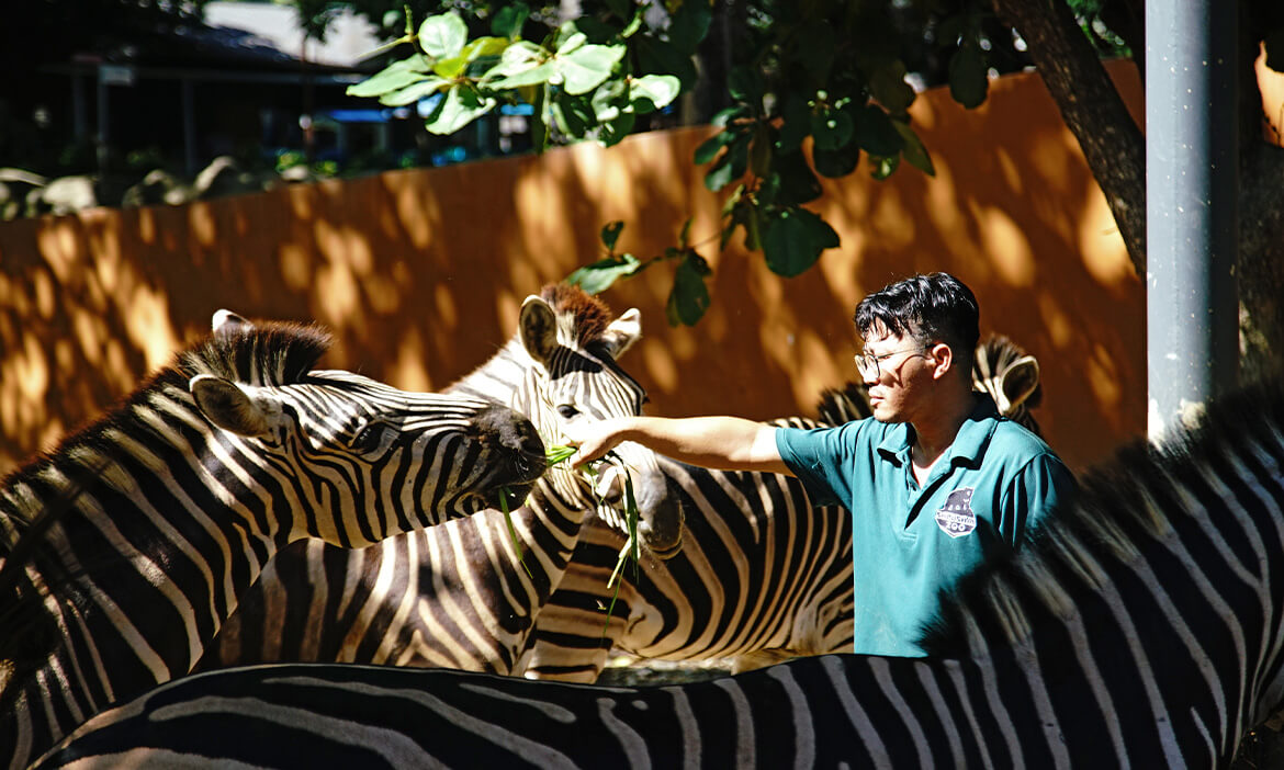 前進高雄壽山動物園，一探保育員照顧「孩子」的日常，看見為動物著想的心