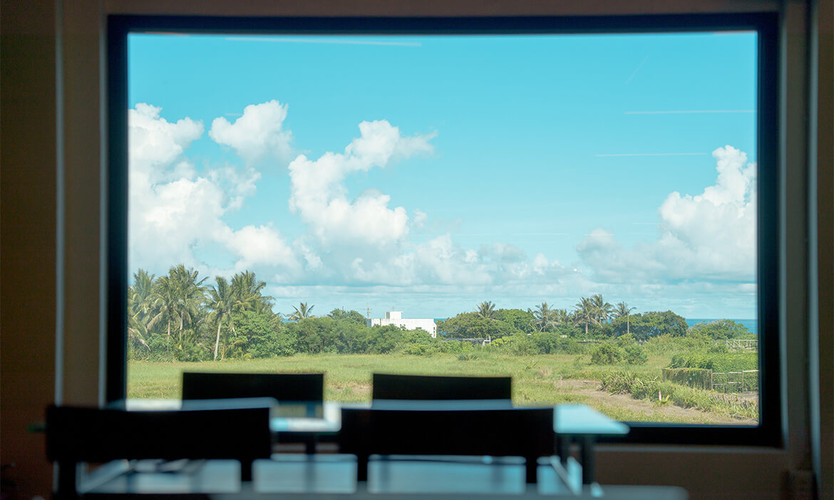 在台東成功「成農花田餐坊」賞太平洋美景，吃鬼頭刀魚乾滷肉飯、木虌果海鮮火鍋