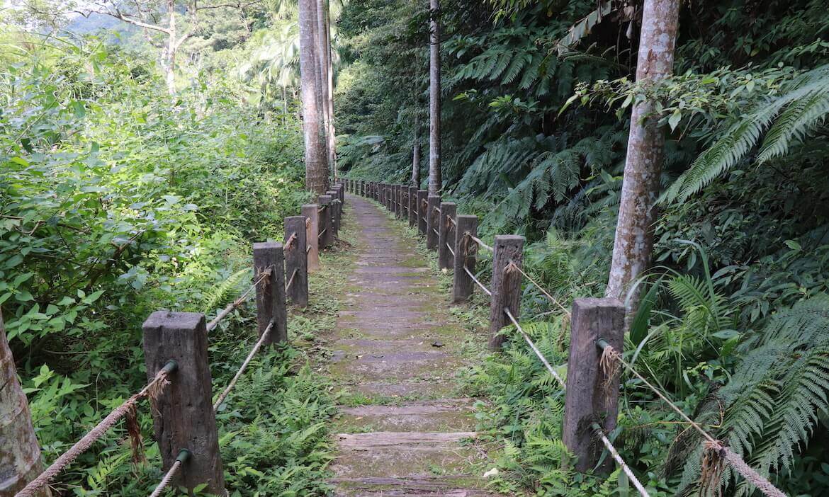 新北安坑輕軌6個周邊景點推薦｜穀倉高塔溜滑梯、蝴蝶園、植物園 來去城市踏青