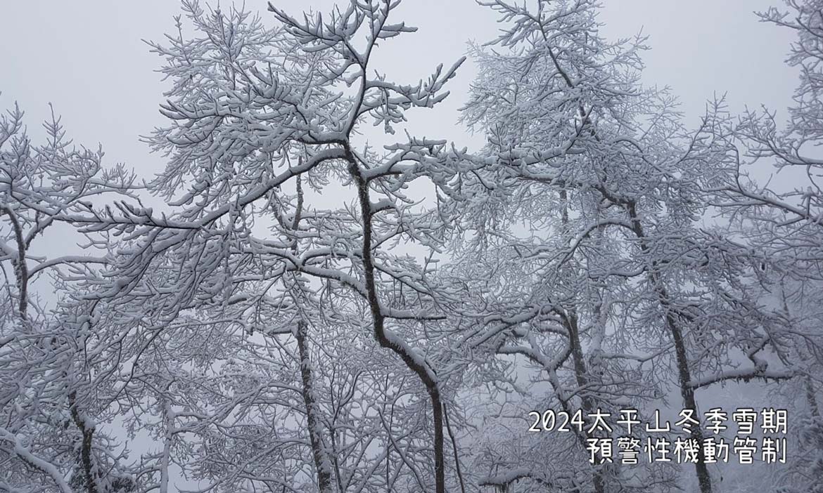 冷氣團來襲！宜蘭太平山冬季雪期入園與交通，啟動預警性機動管制措施