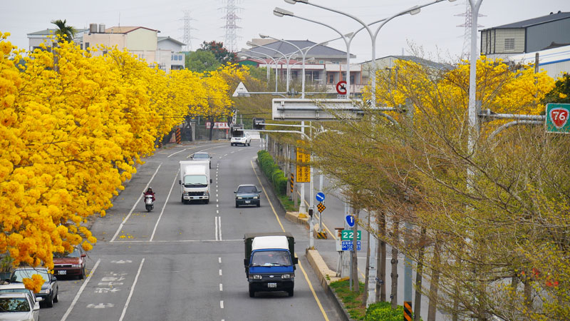 21台灣3 4月花季總整理 粉 紫 黃 白接力綻放 好拍與必去景點全攻略 微笑台灣編輯室 微笑台灣 用深度旅遊體驗鄉鎮魅力