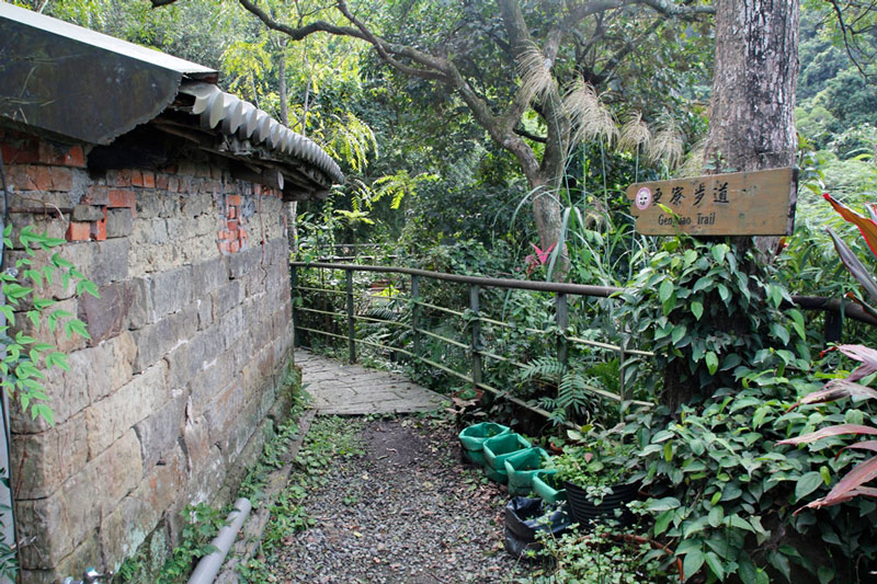 古道上的獨角仙森林南港椿萱農場 在生態樂園手作窯烤香椿麵包 綠媒體green Media 微笑台灣 用深度旅遊體驗鄉鎮魅力