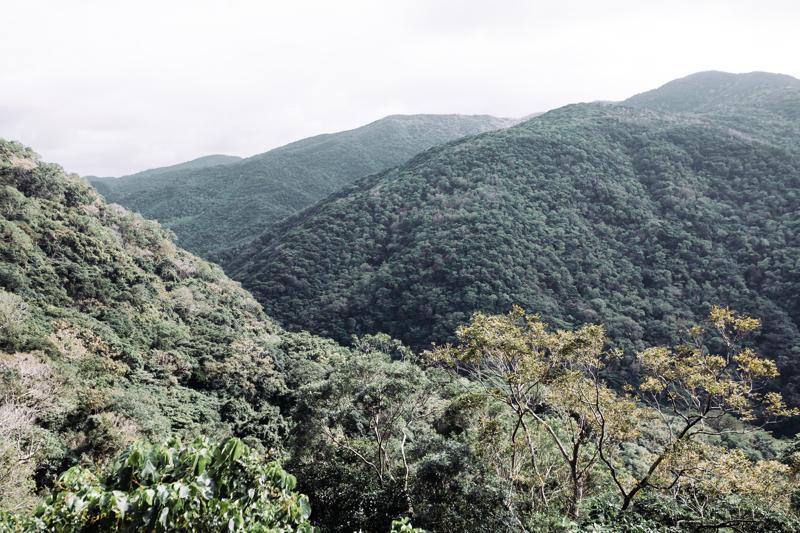 走入山徑窺看恆春半島山林面貌 從輕鬆出遊到登山縱走 探索群山魅力美景 微笑精選好文 微笑台灣 用深度旅遊體驗鄉鎮魅力