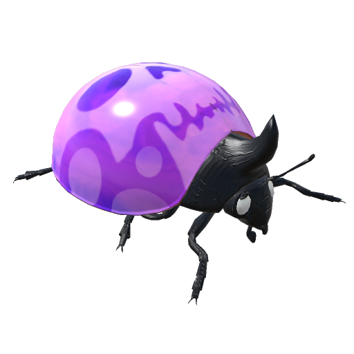 Beetle