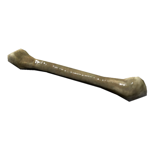 Bone