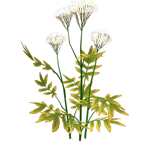 Grow Plant preview