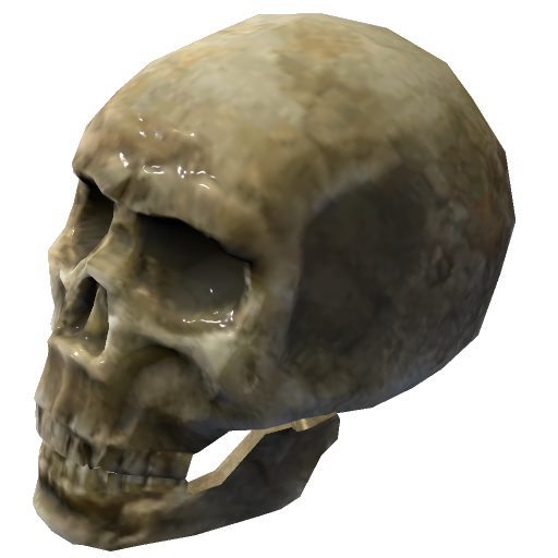 Skull
