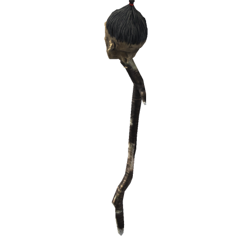 Swamp Dried Head