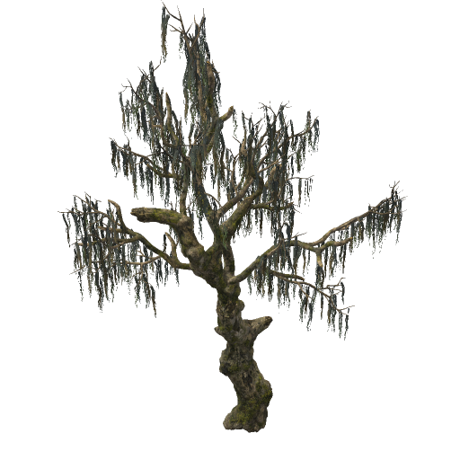 Swamp Tree