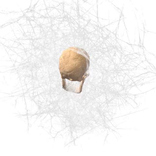 Webbed Skull preview