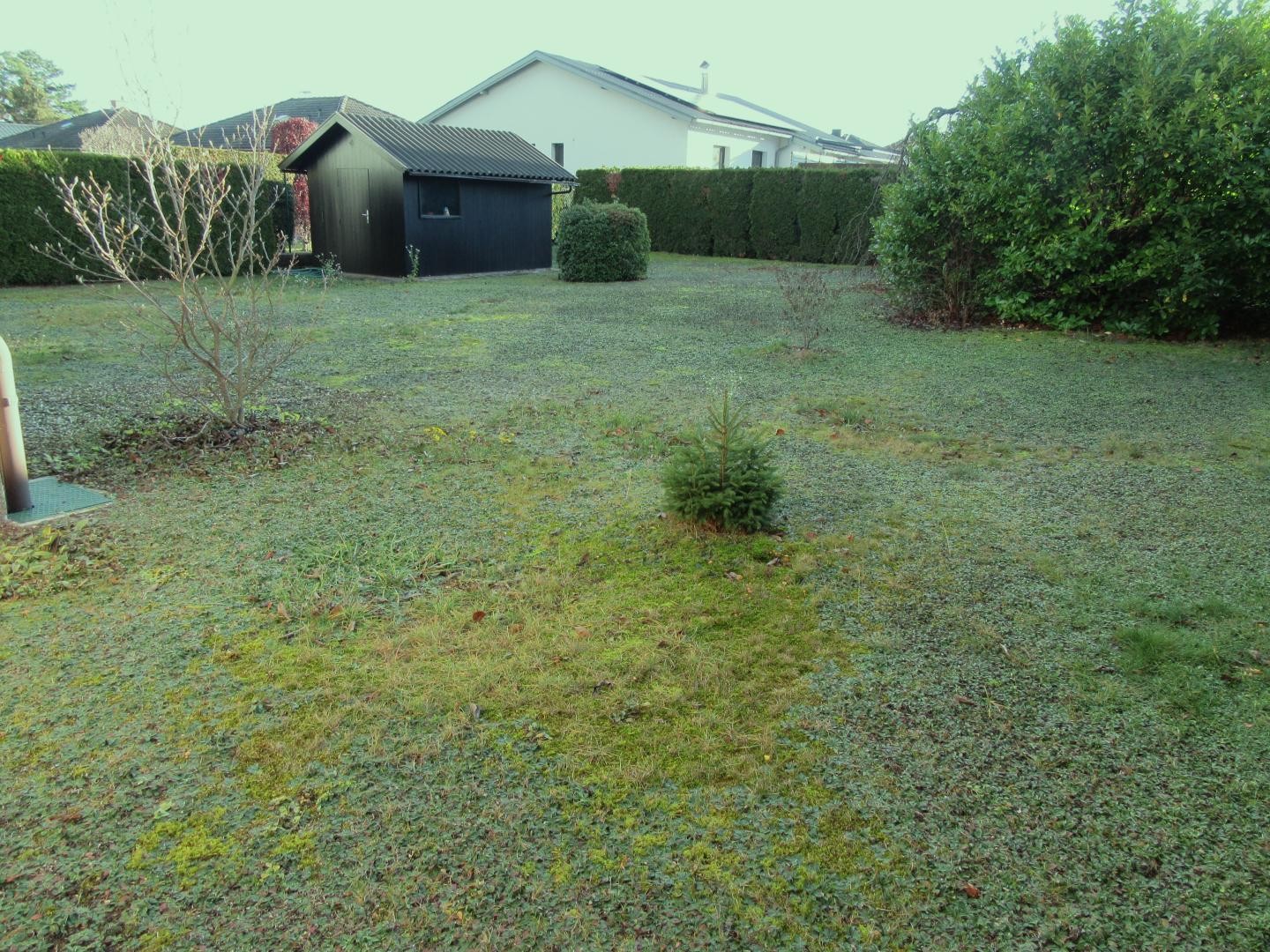 8 Garten