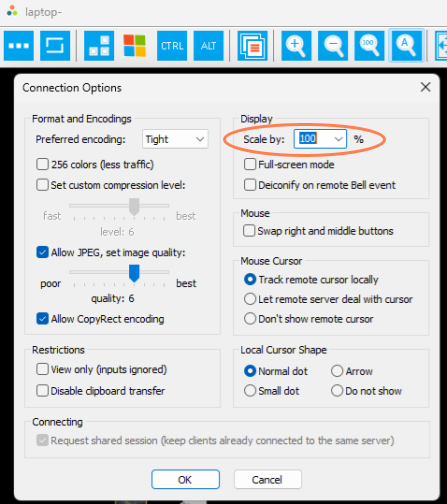 Scale Monitor Setting