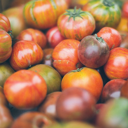 Heirloom Tomato Tart