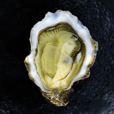 Cielo's Kumamoto Oysters With Apple Gelée