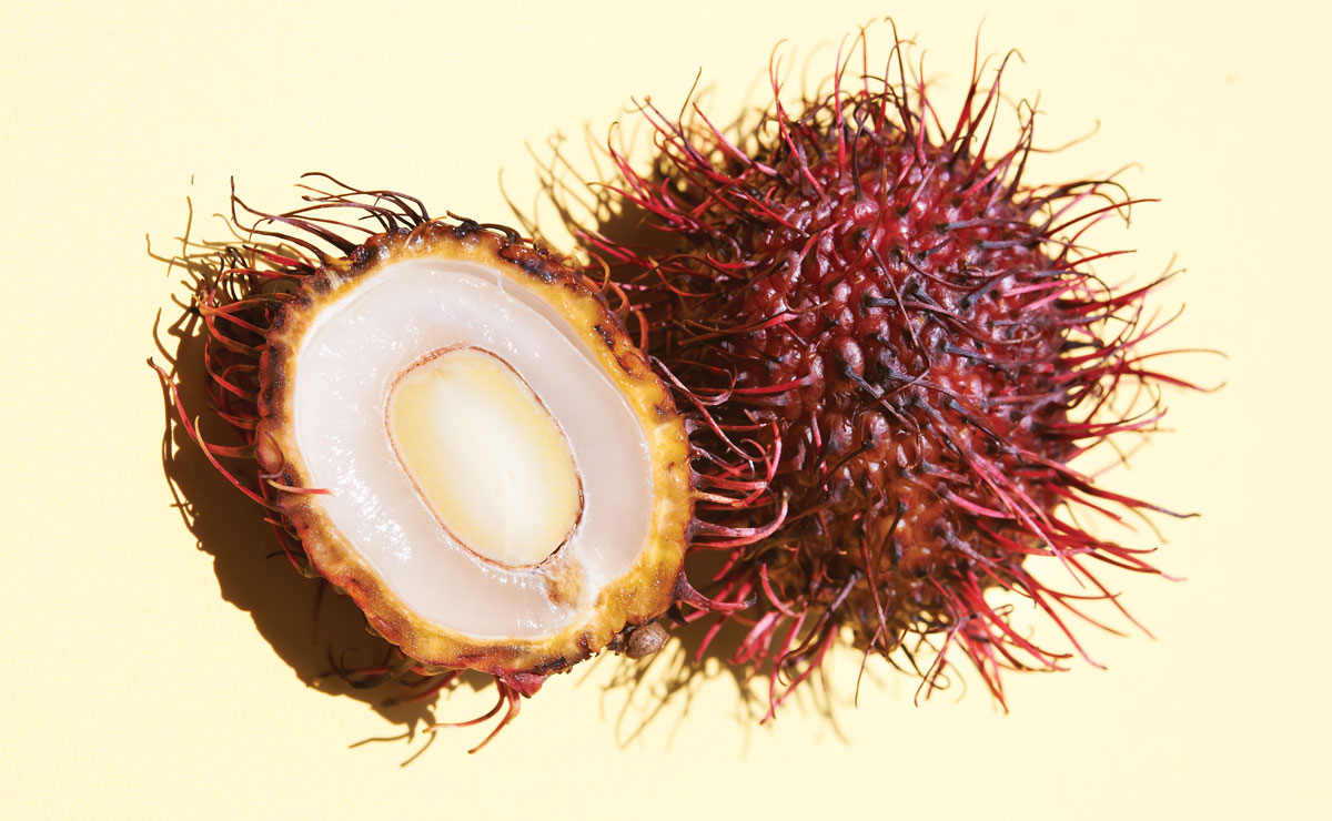 Rambutan