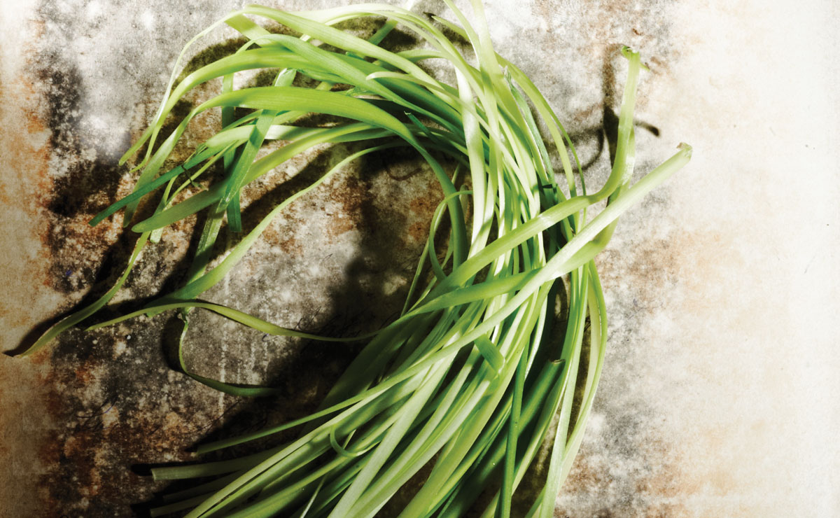 garlic scapes