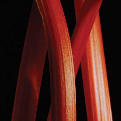 Rhubarb Sauce