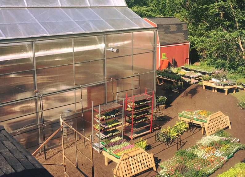 greenhouse and garden at maypop in webster groves