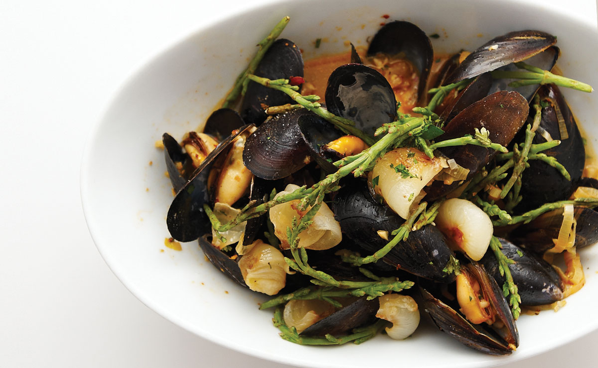 steamed mussels